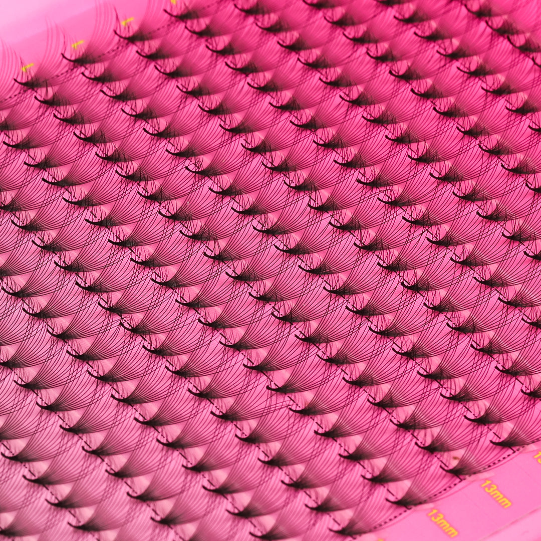 12D Promade Volume 600 Fans Lashbook UK