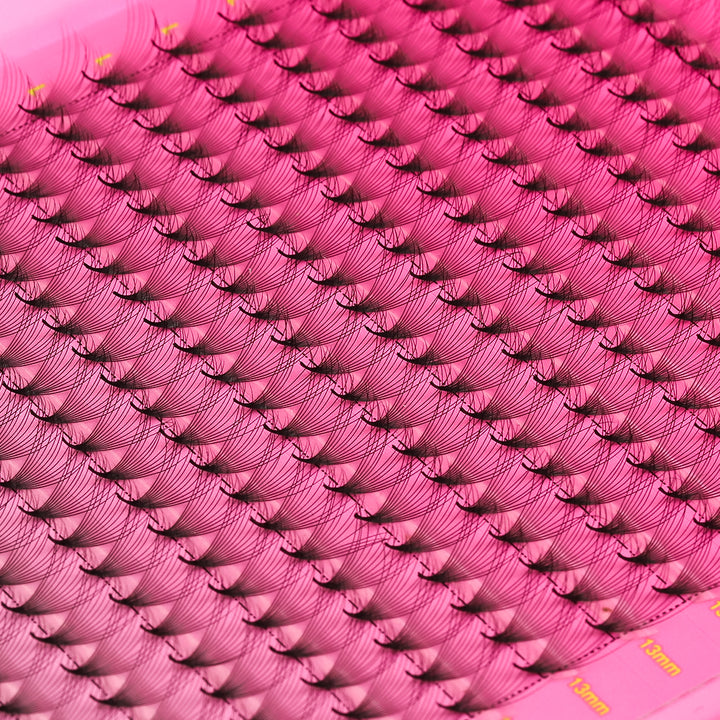12D Promade Volume 600 Fans Lashbook UK