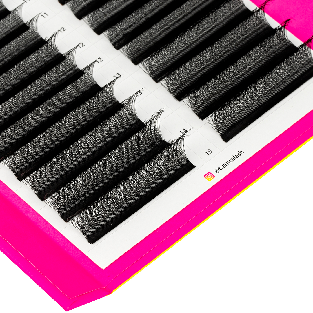 YY & W Style Promade Volume Fans Lashbook TDANCE 3