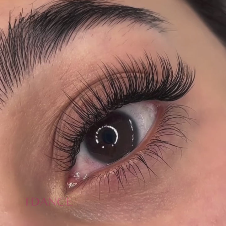 16 Rows 0.18MM Premium Classic Lashes